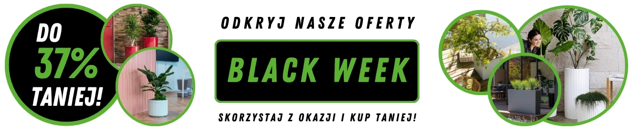 BLACK WEEK 2024