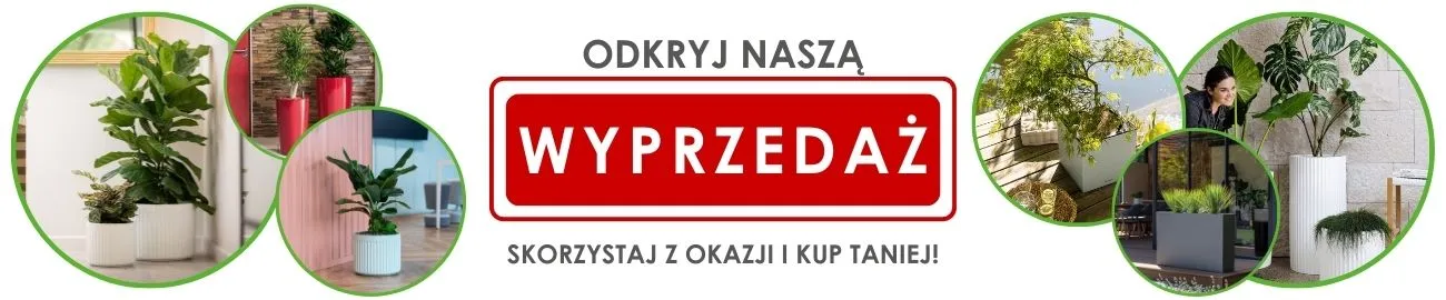 baner_animacja_gorna_wyprzedaz