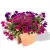 Donica Balpot w kolorze terakota z petuniami