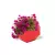 Czerwona donica Dione z różowymi petuniami