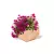 Terakotowa donica Dione z różowymi petuniami