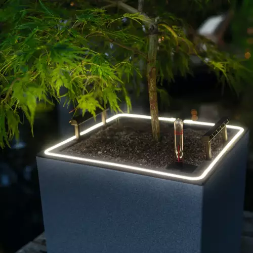 Podświetlenie roślin w donicach Lechuza Canto Stone 30 LED