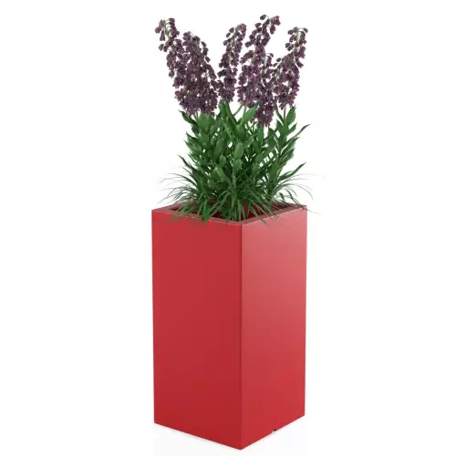 Czerwona donica Tower Pot M w zestawieniu z rośliną średniej wysokości