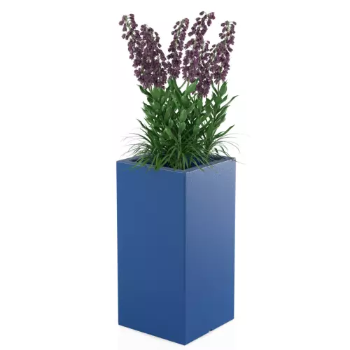 Niebieska donica Tower Pot M w zestawieniu z rośliną średniej wysokości
