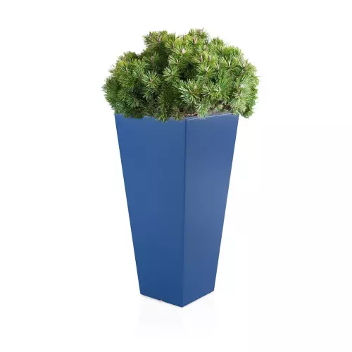 Niebieska donica Slim Line M zestawienie z niską rośliną