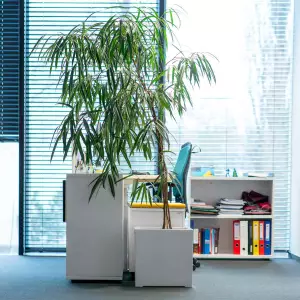 Biała donica w nowoczesnym biurze