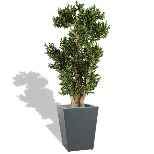 Drzewko oliwne w donicy ZADORA Premium D902F antracyt mat