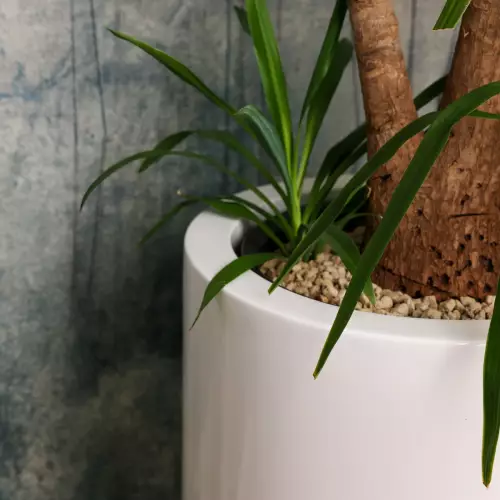 Elegancka biała donica do salonu D901H Ø50x90 cm