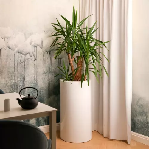 Okrągła wysoka biała donica 90 cm D901H