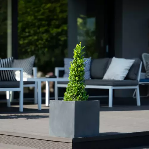 Doniczka D92A grafitowy beton i ostrokrzew bukszpanowy