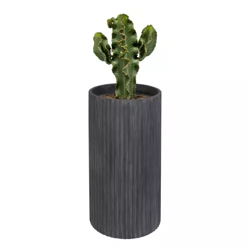 Kaktus w donicy RC80 grafitowy beton