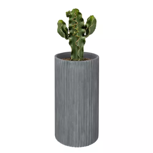 Kaktus w donicy RC80 szary beton