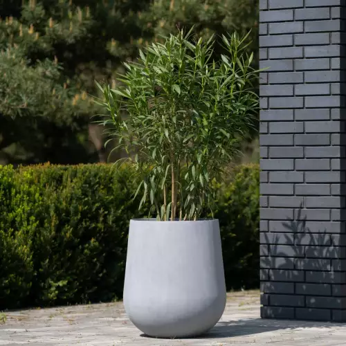 Oleander w donicy SQ65 Ø57x65 szary beton