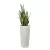 Sansevieria w donicy D208C w kolorze szarego betonu