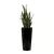 Sansevieria Zeylenica w donicy D208C czarny połysk