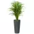 Kencja w donicy D208D grafitowy beton