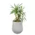 Juka w donicy SQ65 Ø57x65 cm szary beton