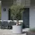 Oliwka w donicy D101DC szary beton