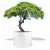 Biała donica D901FE z drzewkiem stylizowanym na bonsai