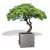 Szara donica D992F z drzewem bonsai