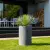 Juka rostrata w donicy D101C grafitowy beton