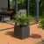 Palma cykas w donicy D92C w kolorze grafitowy beton
