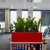 Zamiokulkasy w czerwonej donicy Office Pot w biurze