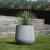 Juka rostrata w donicy SQ50 Ø48x50 cm szary beton