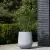 Oleander w donicy SQ65 Ø57x65 szary beton