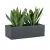Sansevieria w antracytowej donicy OFFICE POT